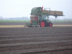 Covering the fields with Straw